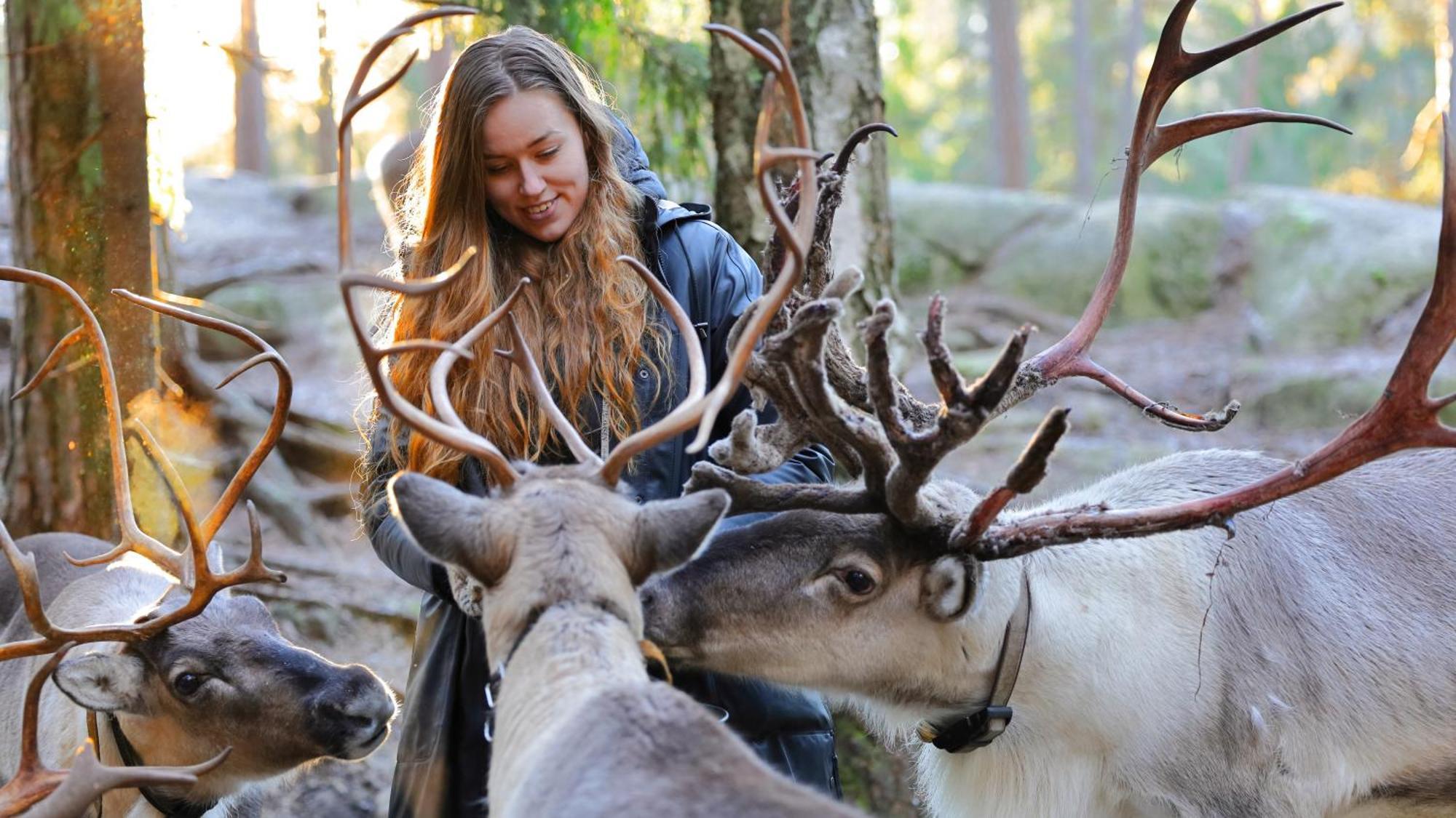 Haltia Lake Lodge Nature Boutique Hotel & Glamping Espoo Exterior foto