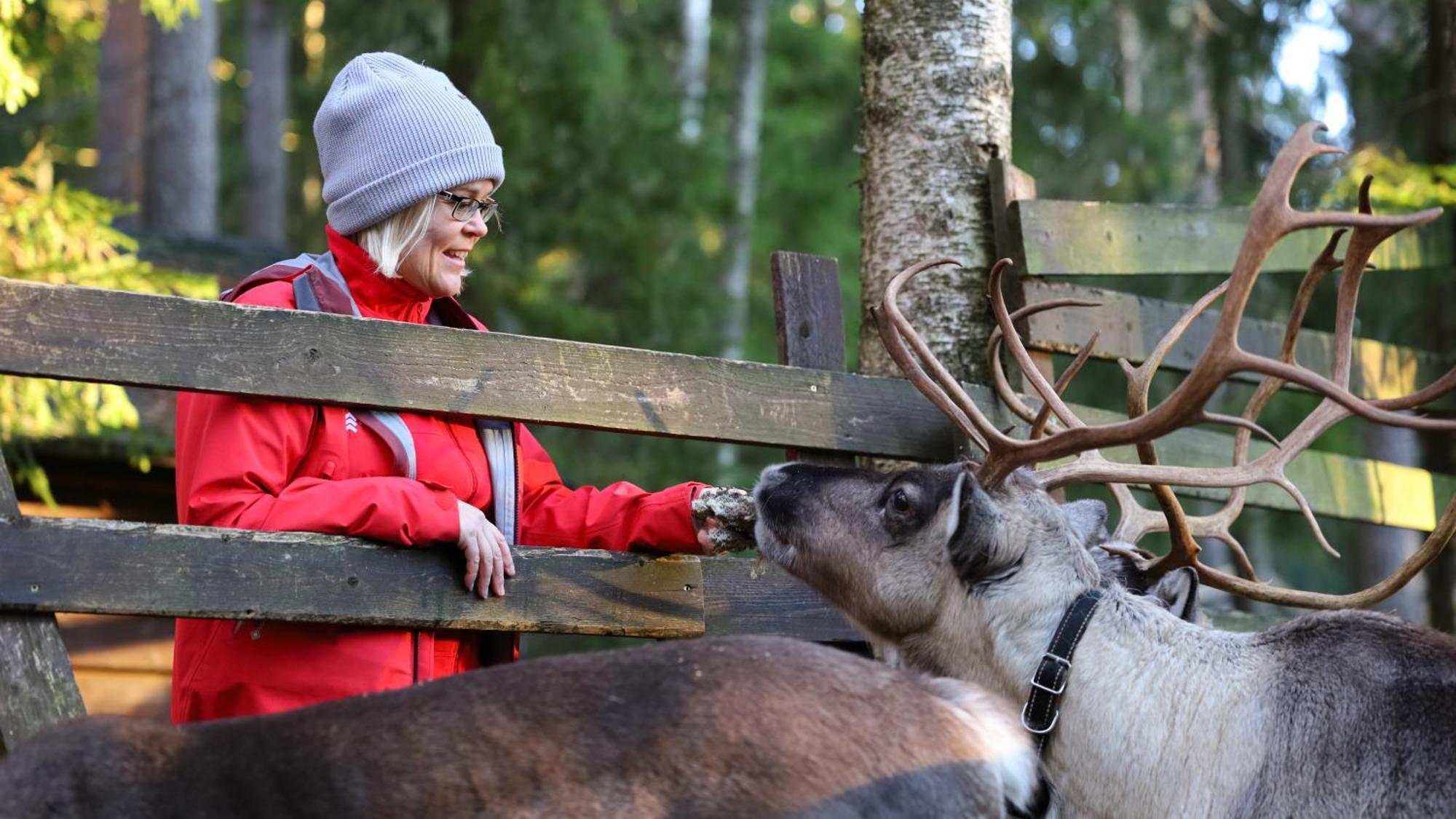 Haltia Lake Lodge Nature Boutique Hotel & Glamping Espoo Exterior foto